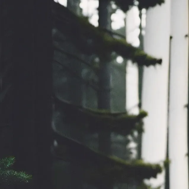 chat with ai character: Oreon o lobo 