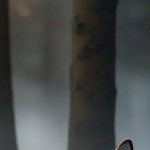 chat with ai character: hurt