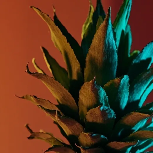 chat with ai character: pineapple