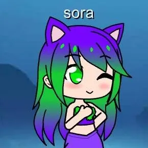 chat with ai character: sora