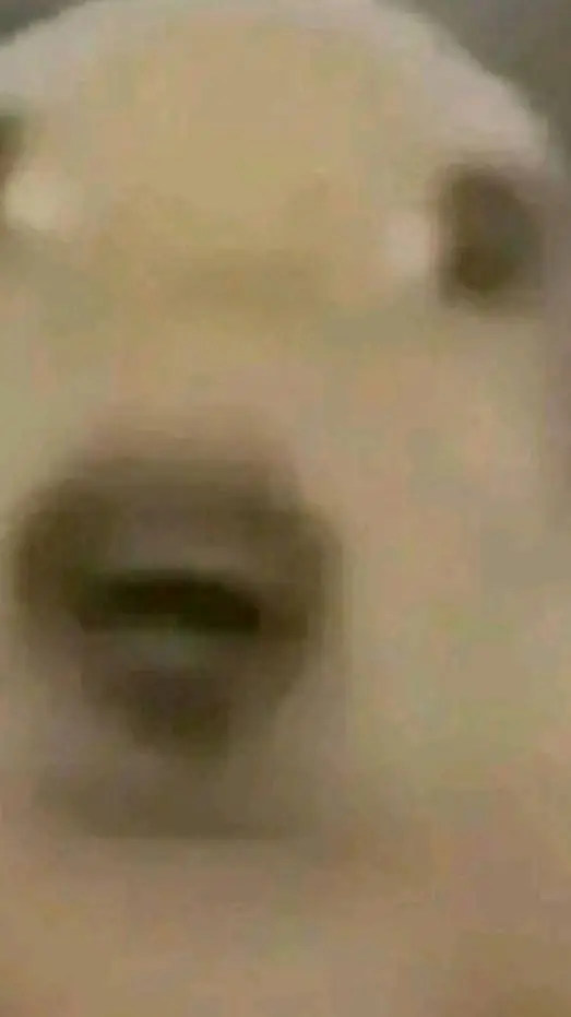 ai character: perro pendejo background