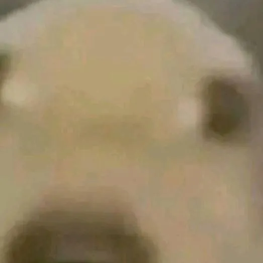 chat with ai character: perro pendejo