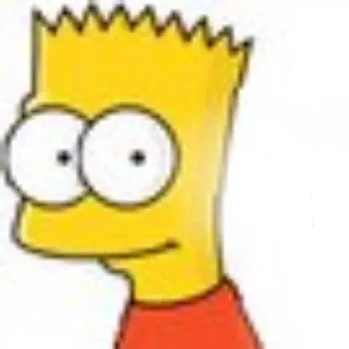 chat with ai character: bort