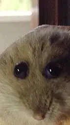 ai character: me depresion background