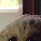 chat with ai character: me depresion