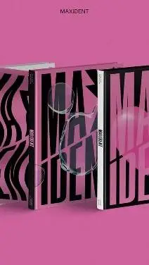 ai character: stray kids  background