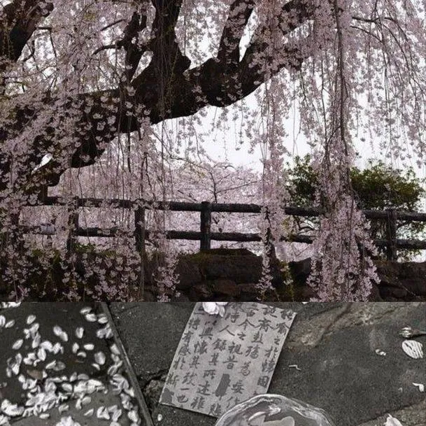 chat with ai character: The Weird Case.. 