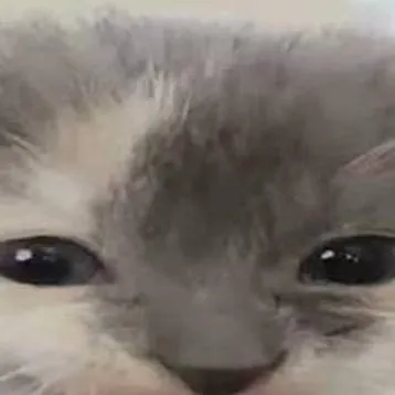 chat with ai character: ;[...