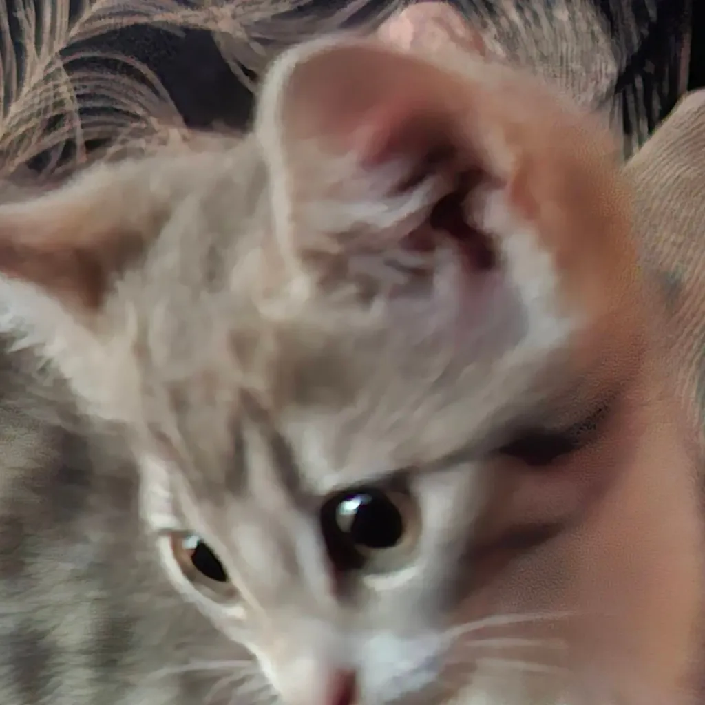chat with ai character: <{me irl}>