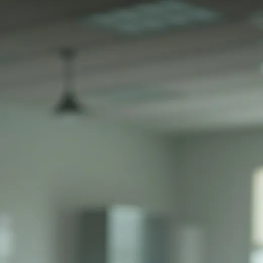 chat with ai character: high school life