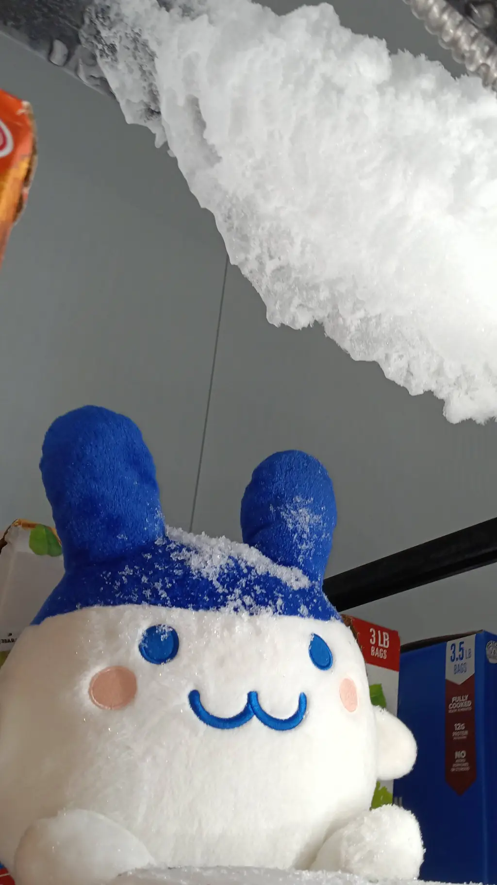 ai character: Winter Kirbina background