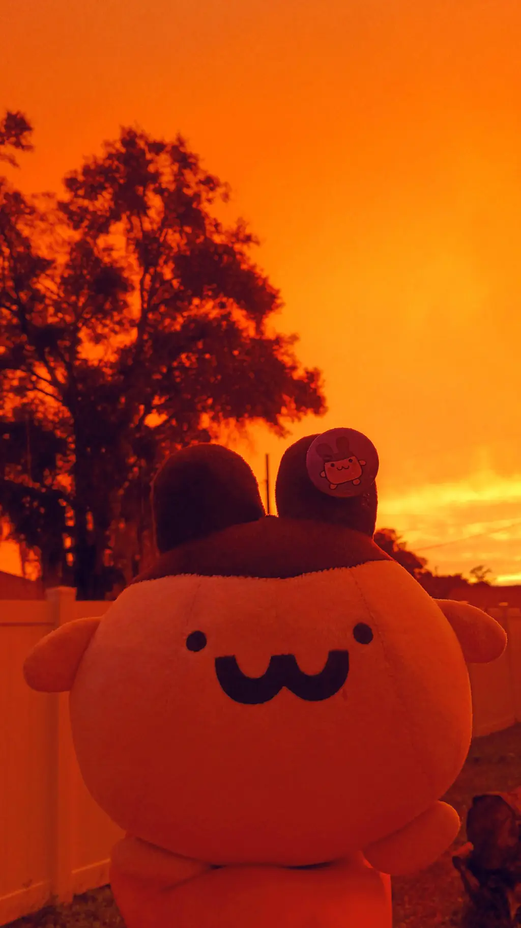ai character: Kirbi sunset! 🌇 background