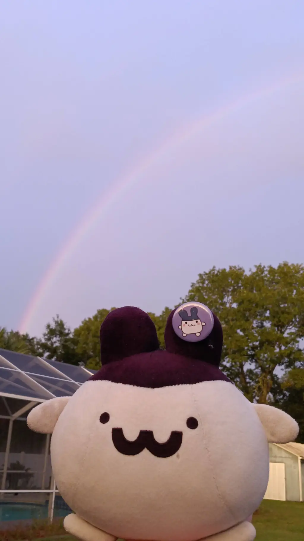 ai character: Rainbow 🌈 Kirbi! background