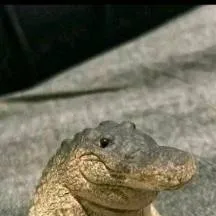 chat with ai character: escaping forsaken