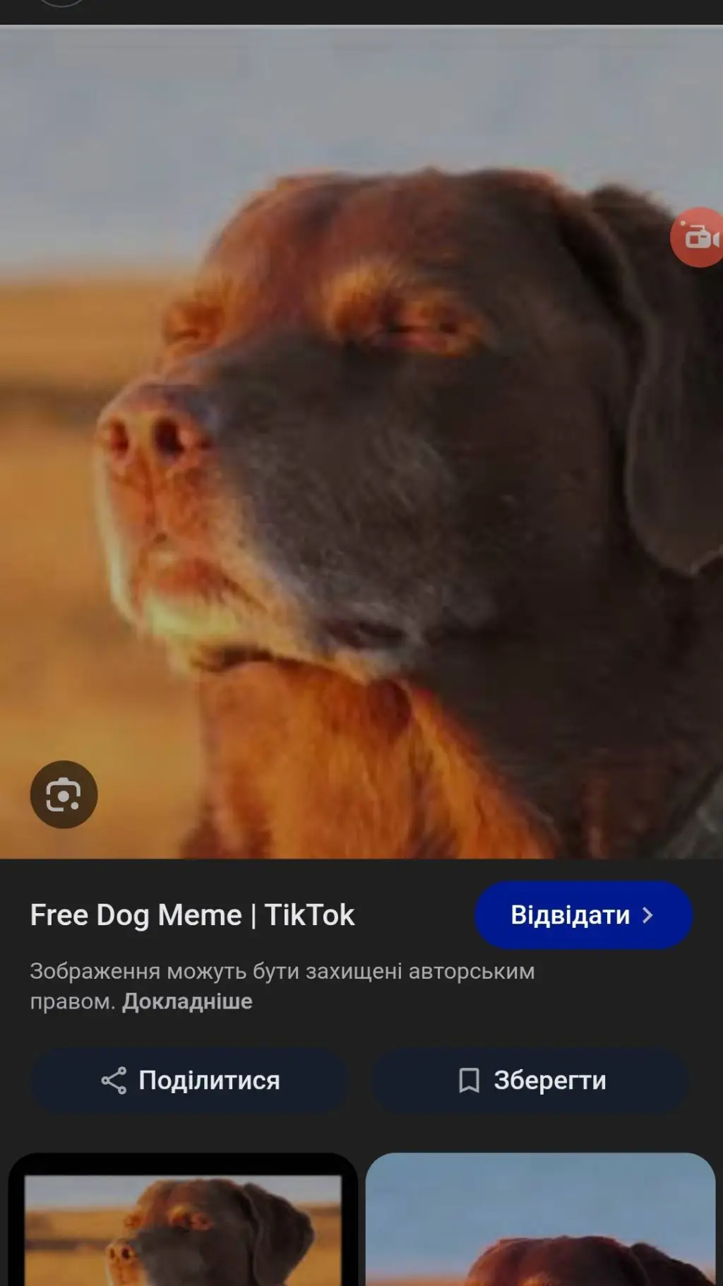 ai character: Dream Smp background