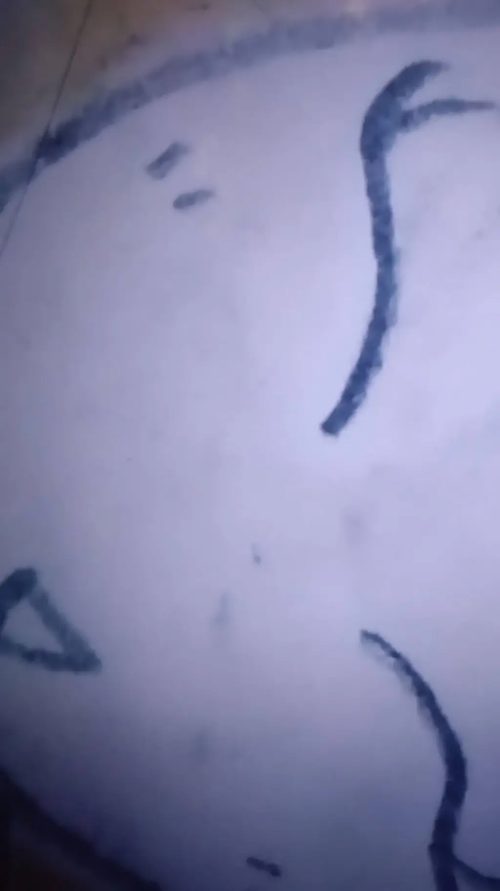 ai character: Ginko background