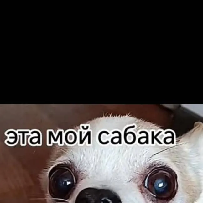 chat with ai character: леля
