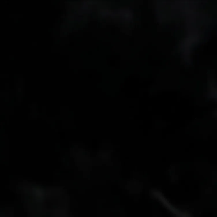 chat with ai character: mlp rainbo cookie 