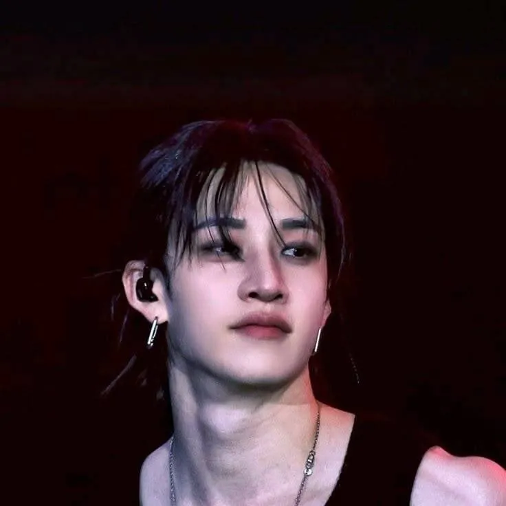 chat with ai character: [Bangchan]