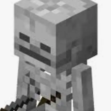 chat with ai character: Skeleton Minecraft