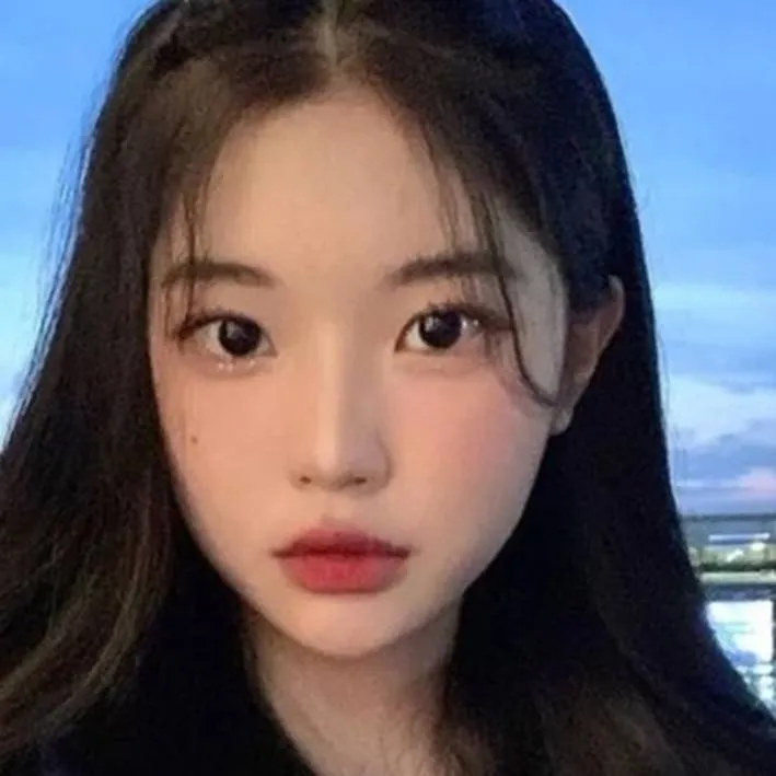 chat with ai character: Y/N 
