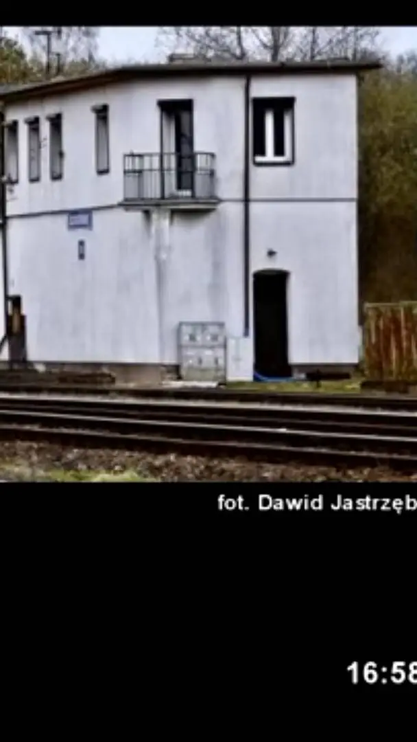 ai character: Dużurna ruchu background