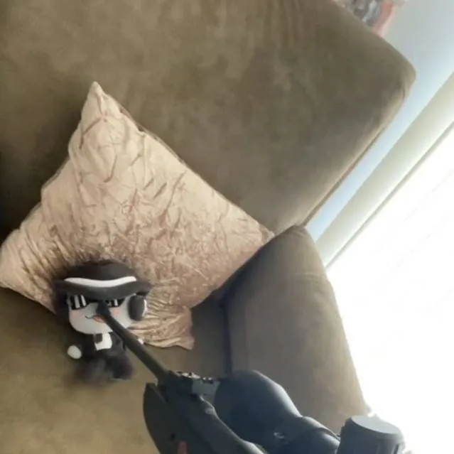 chat with ai character: plush chanse 