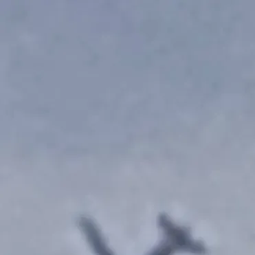 chat with ai character: 787 fly-by