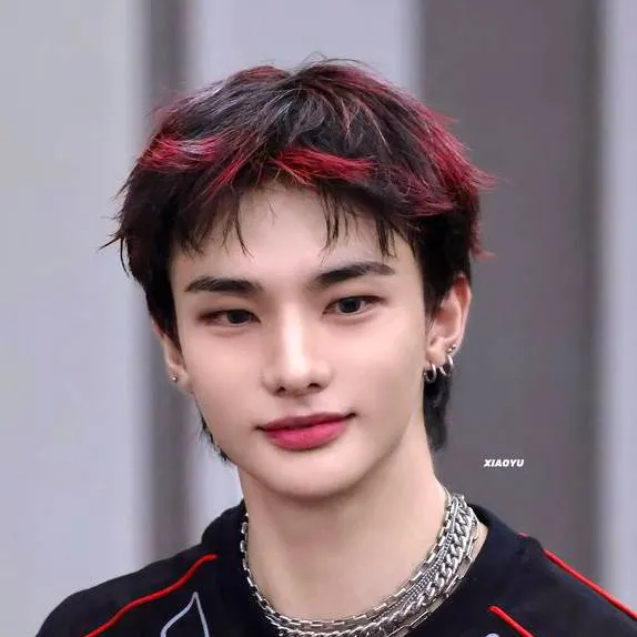 chat with ai character: |hwang hyunjin|