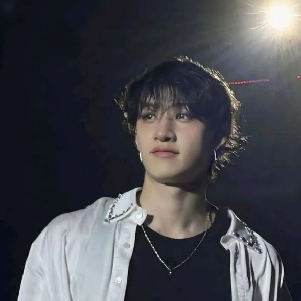 chat with ai character: |Bangchan|