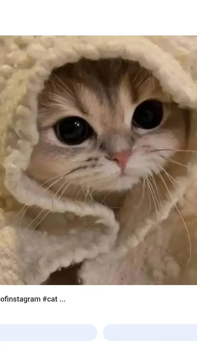 ai character: Victoria  background