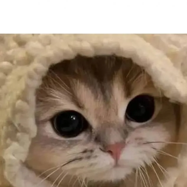 chat with ai character: Victoria 