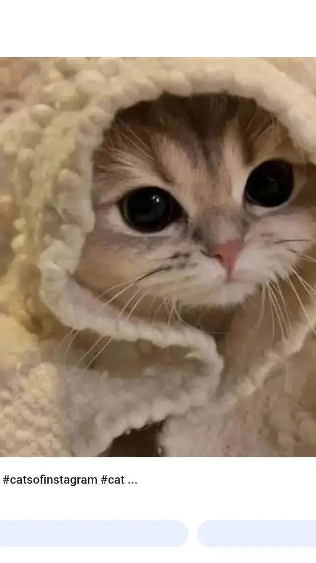 ai character: Victoria  background