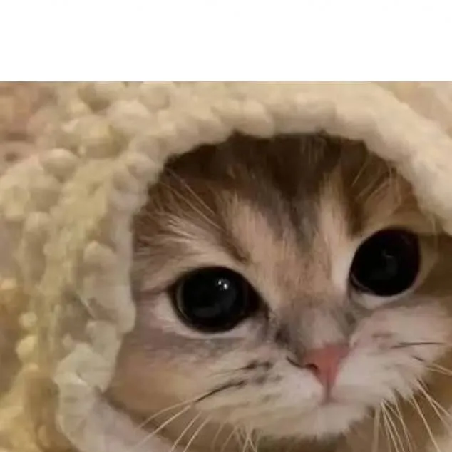 chat with ai character: Victoria 