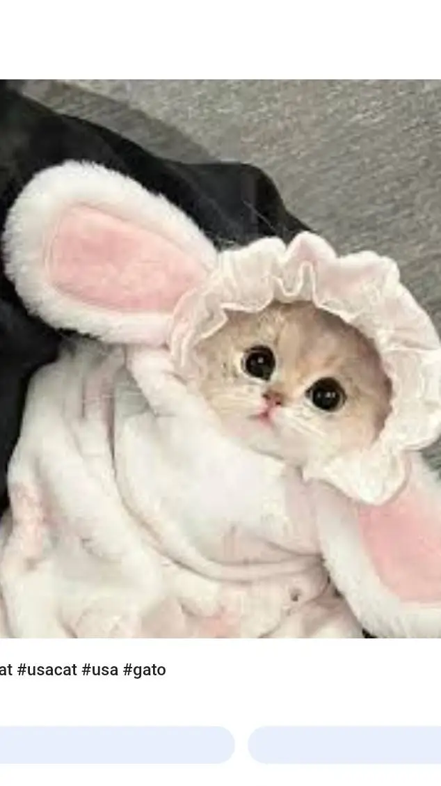 ai character: lumibean  background