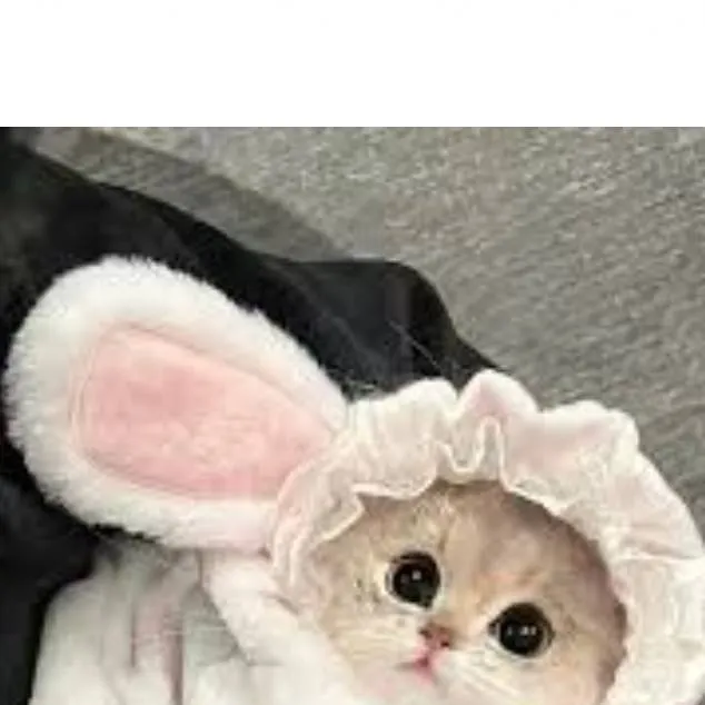 chat with ai character: lumibean 