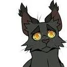 chat with ai character: Gray wing