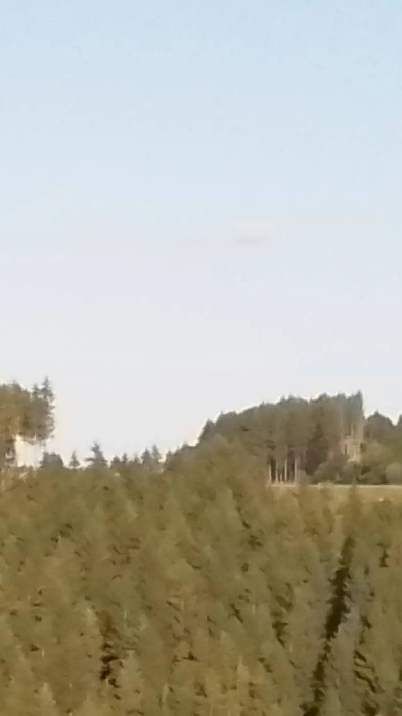 ai character: +☆Warrior Cats☆+ background