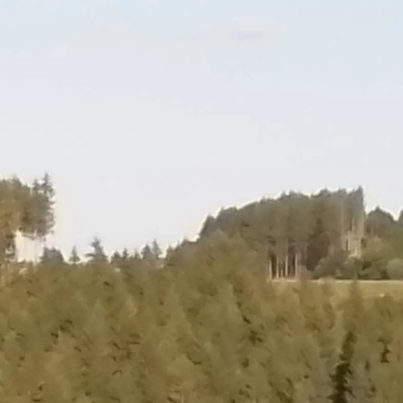 chat with ai character: +☆Warrior Cats☆+