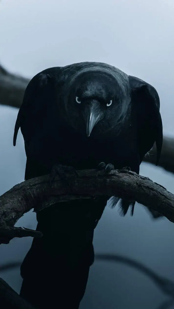 ai character: ¿{★Post thing★}? background