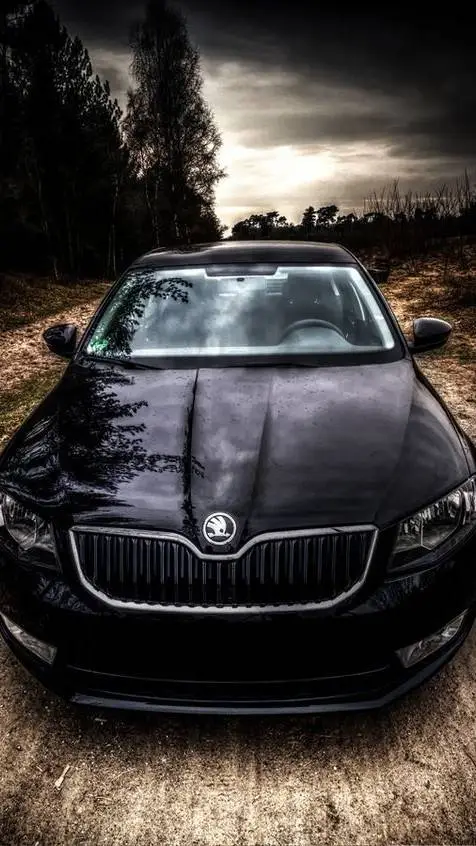 Talkie AI - Chat with 《☆~Skoda~☆》