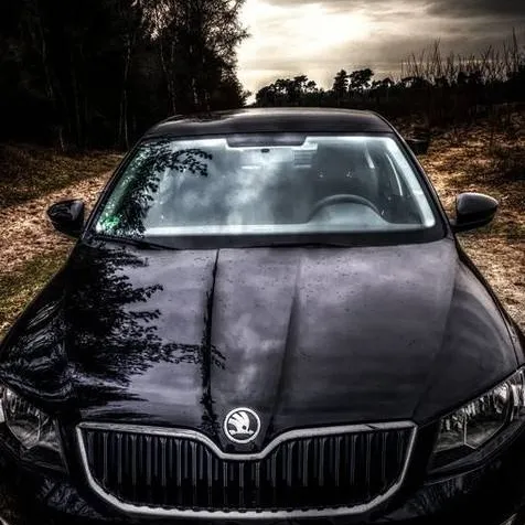 chat with ai character: 《☆~Skoda~☆》