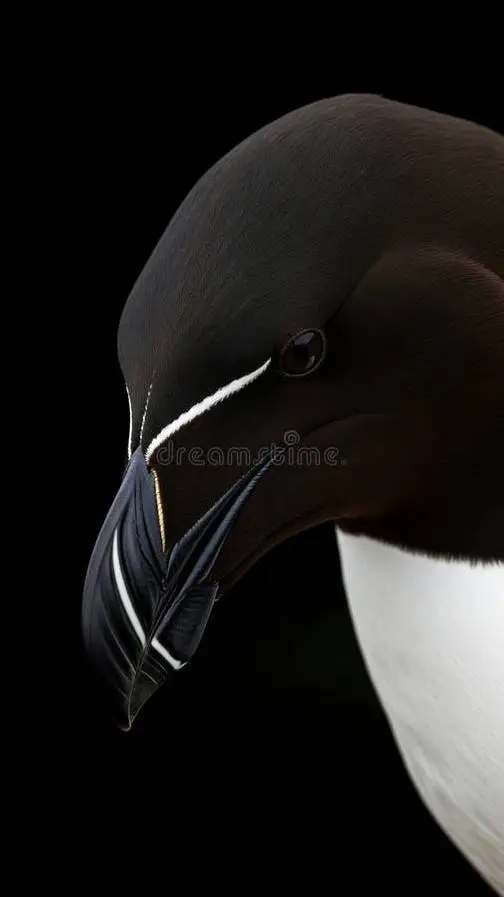 ai character: survery(Horror) background