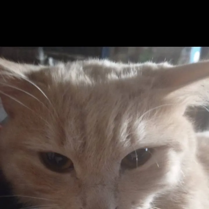 chat with ai character: Инфа