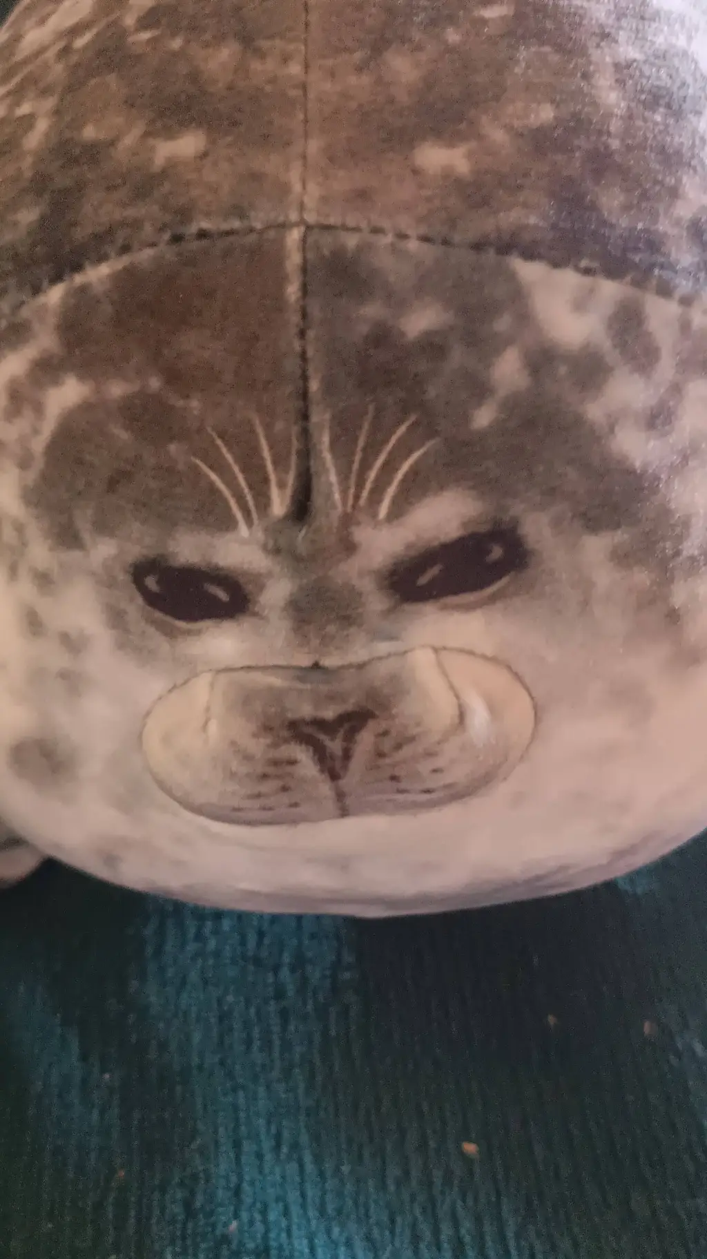 ai character: seal plushie LMAO😭 background