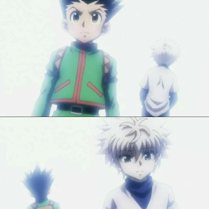 chat with ai character: Gon left killua