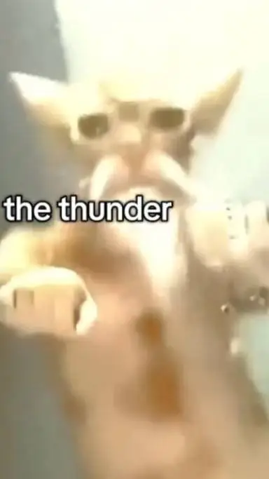 ai character: TF141-School Visit background