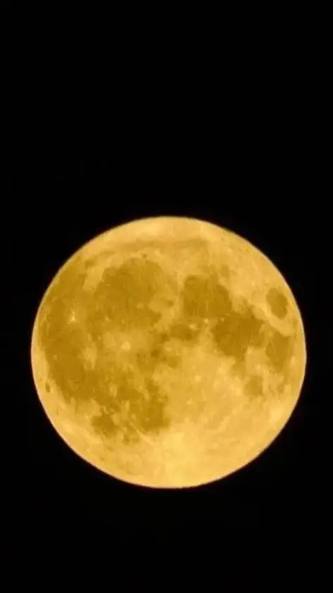 ai character: camping background