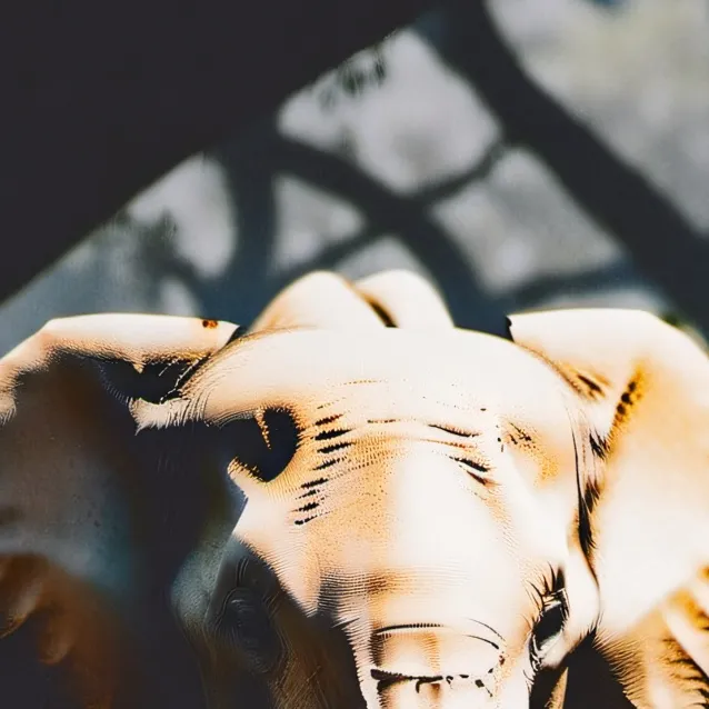 chat with ai character: elephant need help