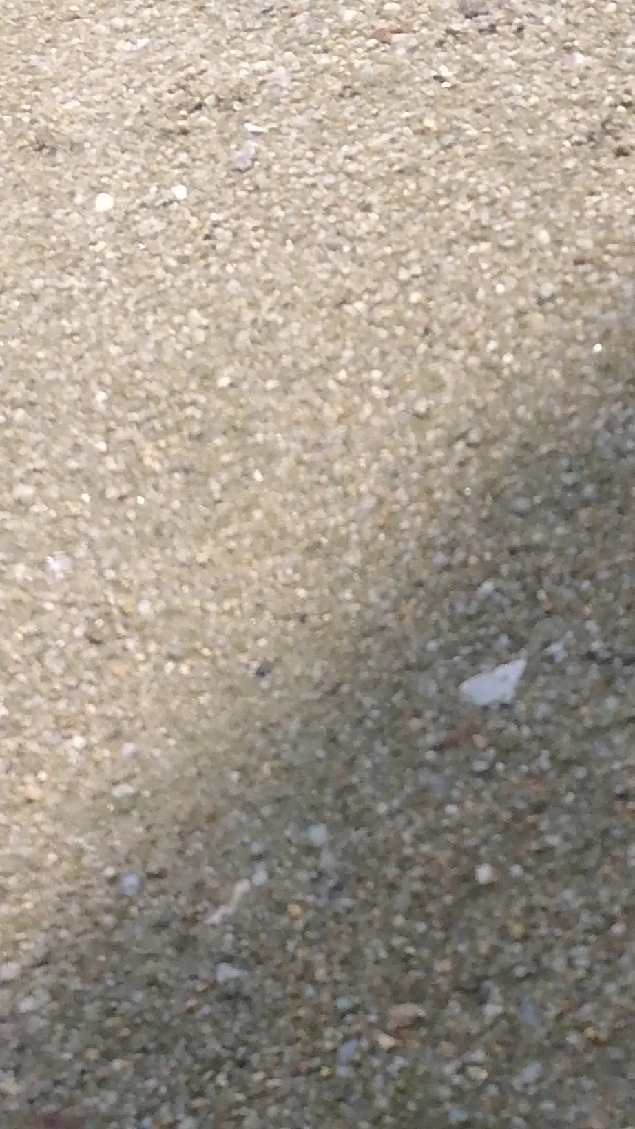ai character: sand background